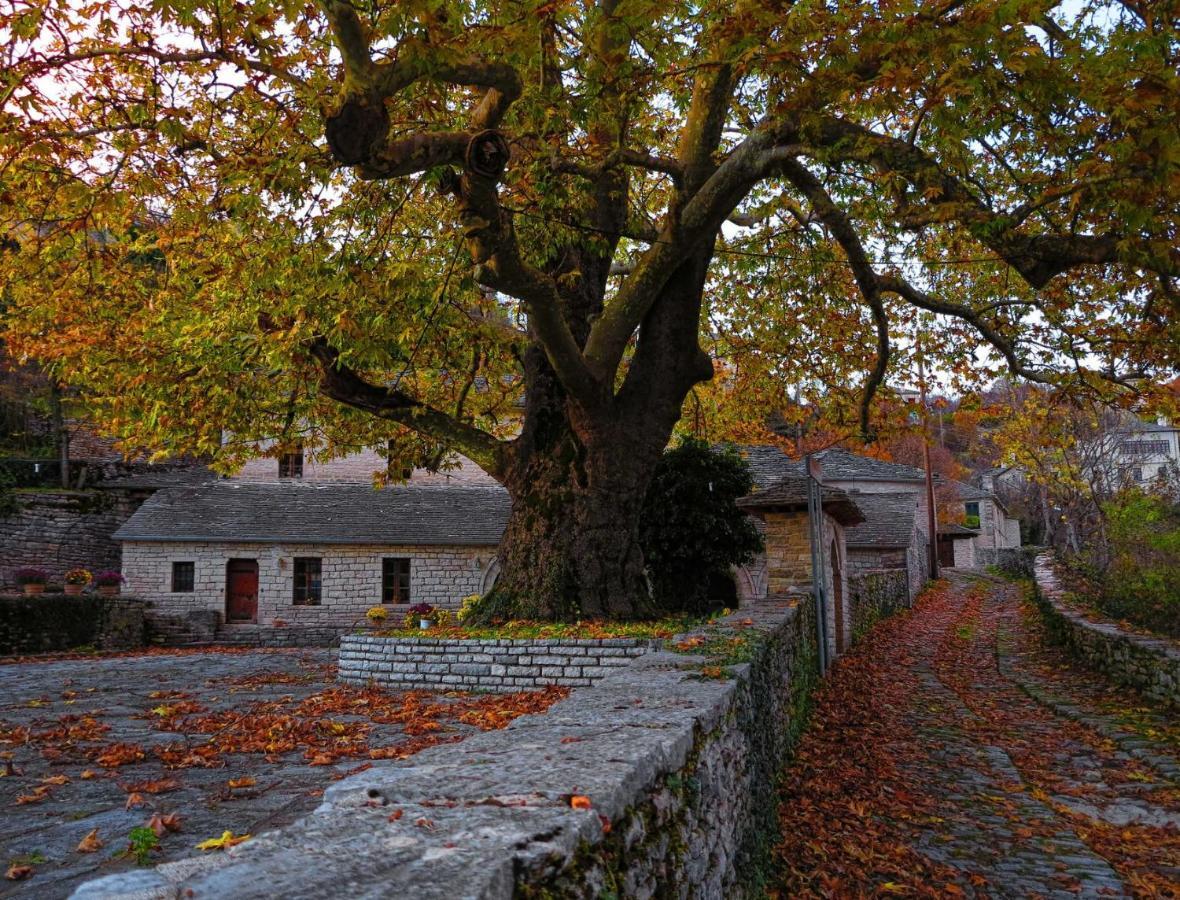 Archontiko Evridikis Hotel Vitsa ภายนอก รูปภาพ